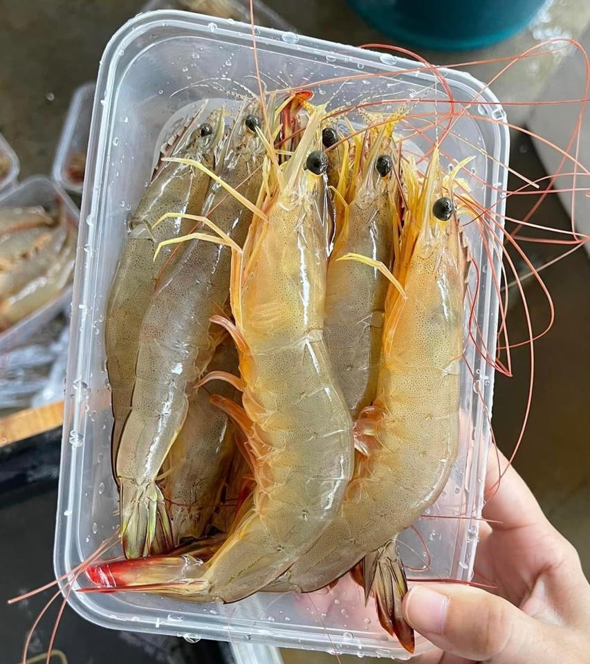 tôm he s40-50c/kg-duoc-ban-tai-HẢI SẢN CẨM