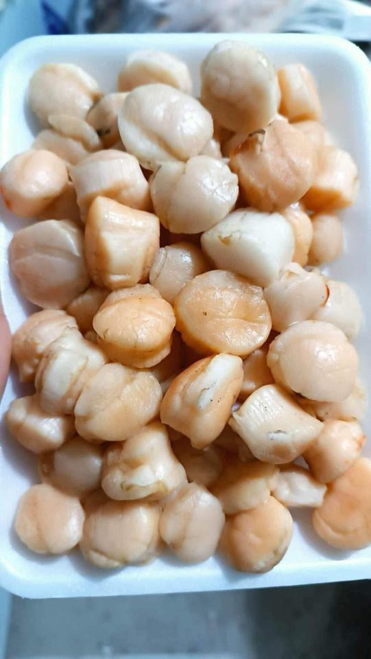 Cồi mai-duoc-ban-tai-HẢI SẢN CẨM