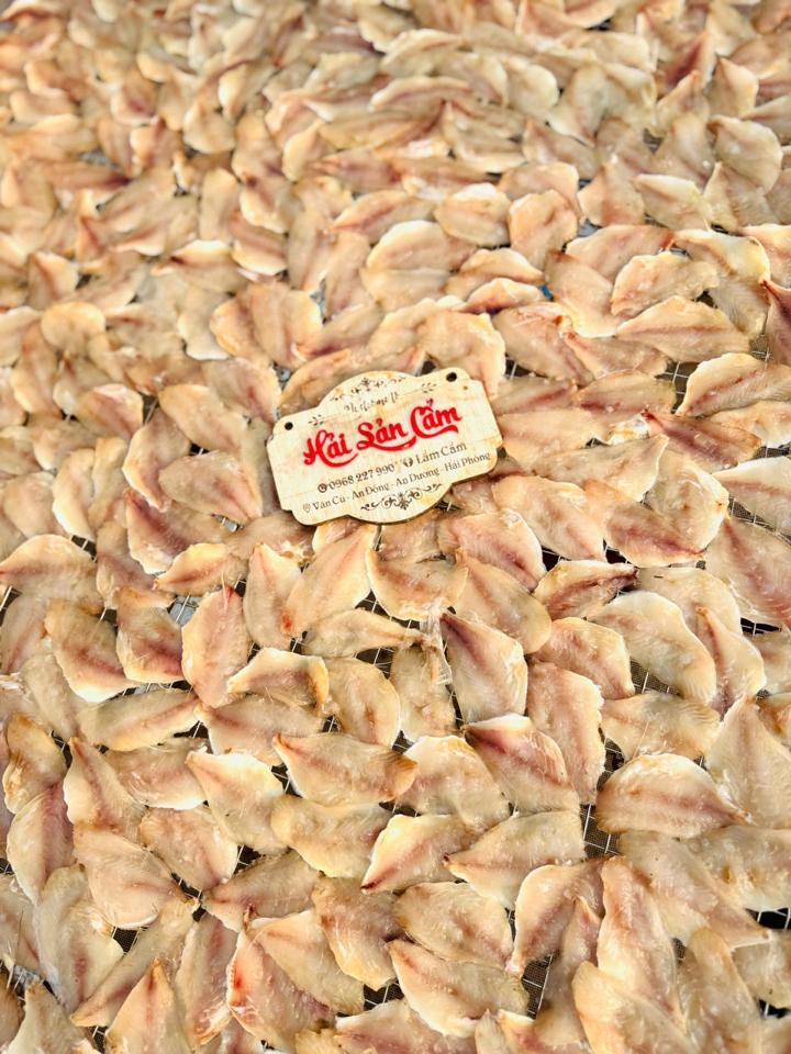 cá man phile-duoc-ban-tai-HẢI SẢN CẨM