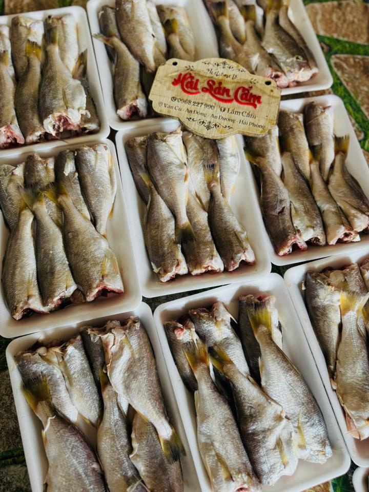 cá đù tươi-duoc-ban-tai-HẢI SẢN CẨM