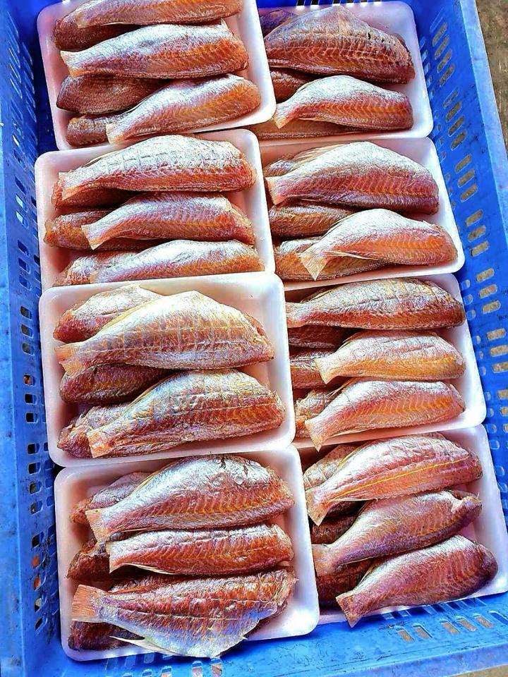 Cá phèn chỉ 1 nắng size to-duoc-ban-tai-HẢI SẢN CẨM