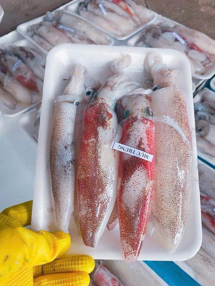 Mực trứng nháy-duoc-ban-tai-HẢI SẢN CẨM