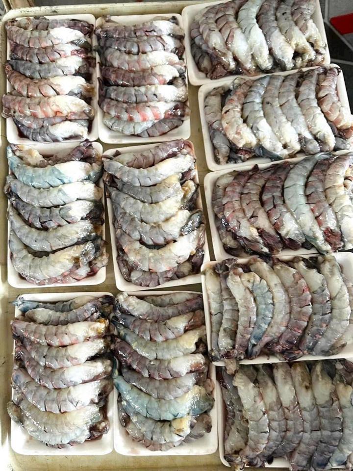 Nõn sú tươi-duoc-ban-tai-HẢI SẢN CẨM