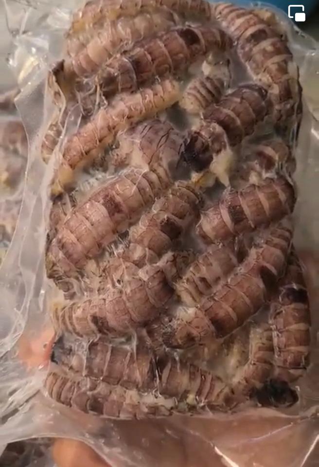 Bề vỡ-duoc-ban-tai-HẢI SẢN CẨM