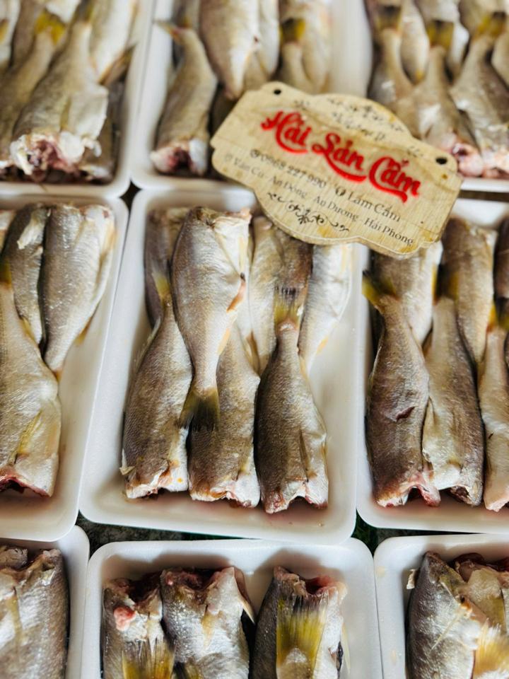 cá đù tươi-duoc-ban-tai-HẢI SẢN CẨM