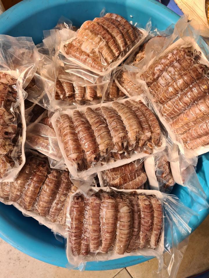 nõn bề-duoc-ban-tai-HẢI SẢN CẨM
