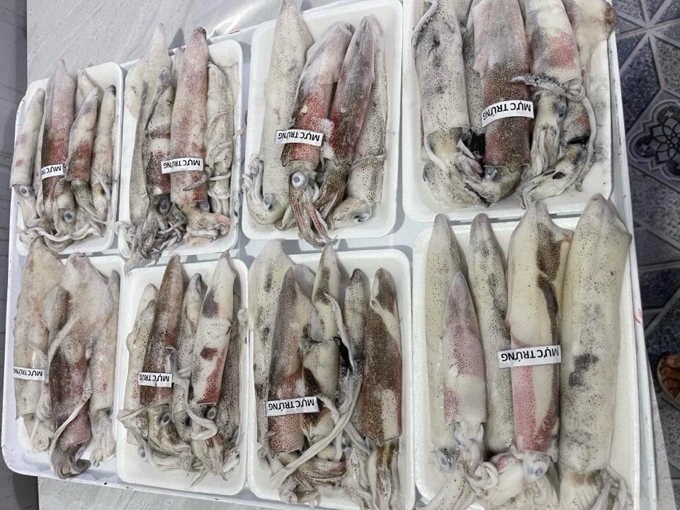 Mực trứng chài-duoc-ban-tai-HẢI SẢN CẨM