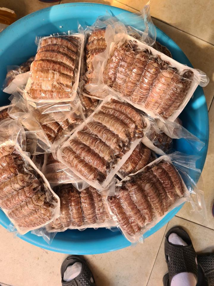 nõn bề-duoc-ban-tai-HẢI SẢN CẨM