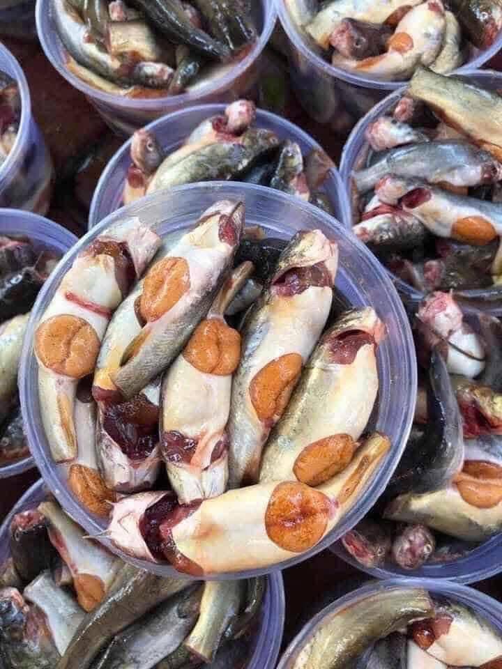 Cá chốt trứng -duoc-ban-tai-HẢI SẢN CẨM