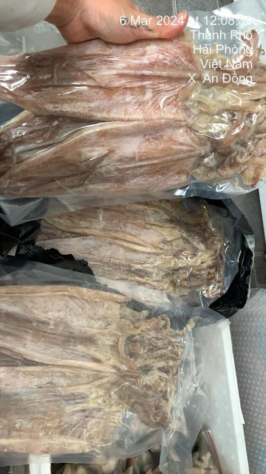 Mực khô cào 12-14 con/kg-duoc-ban-tai-HẢI SẢN CẨM