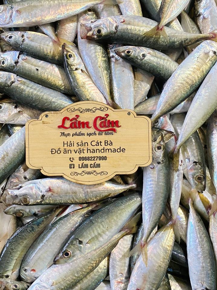 Cá nục tươi làm sạch đủ cân-duoc-ban-tai-HẢI SẢN CẨM