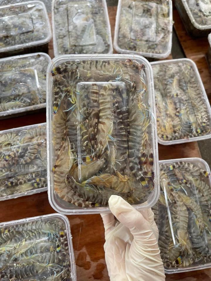 Tôm he vằn 40-45 con/kg-duoc-ban-tai-HẢI SẢN CẨM