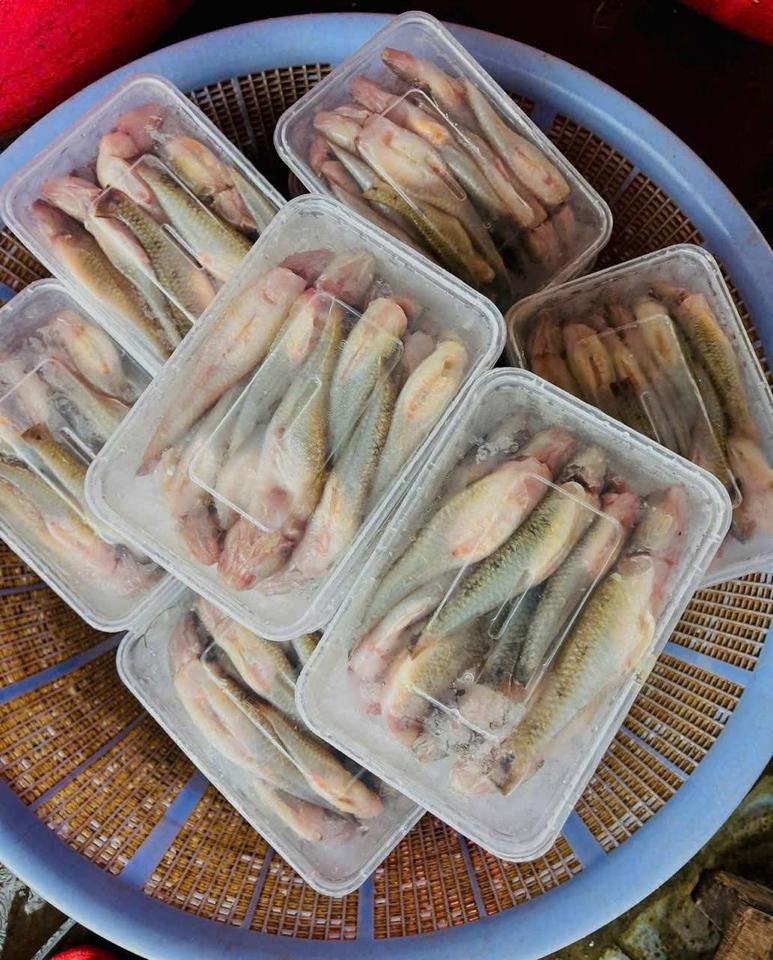 Cá bống sông làm sạch-duoc-ban-tai-HẢI SẢN CẨM