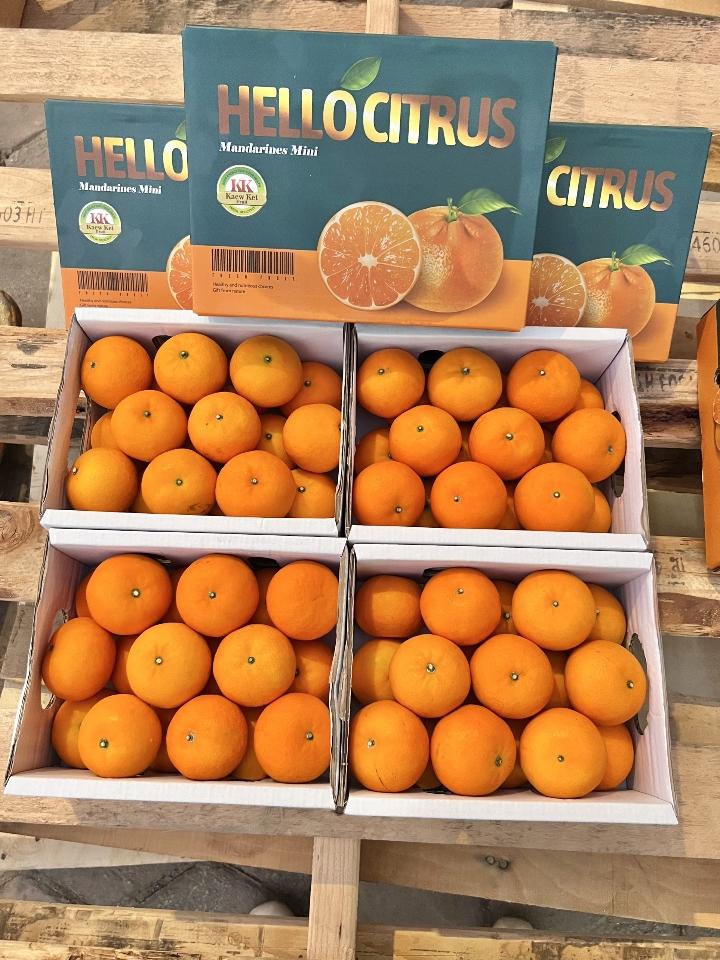 Quýt Mini (1.8kg/hộp)-duoc-ban-tai-HL Foods Hải Phòng