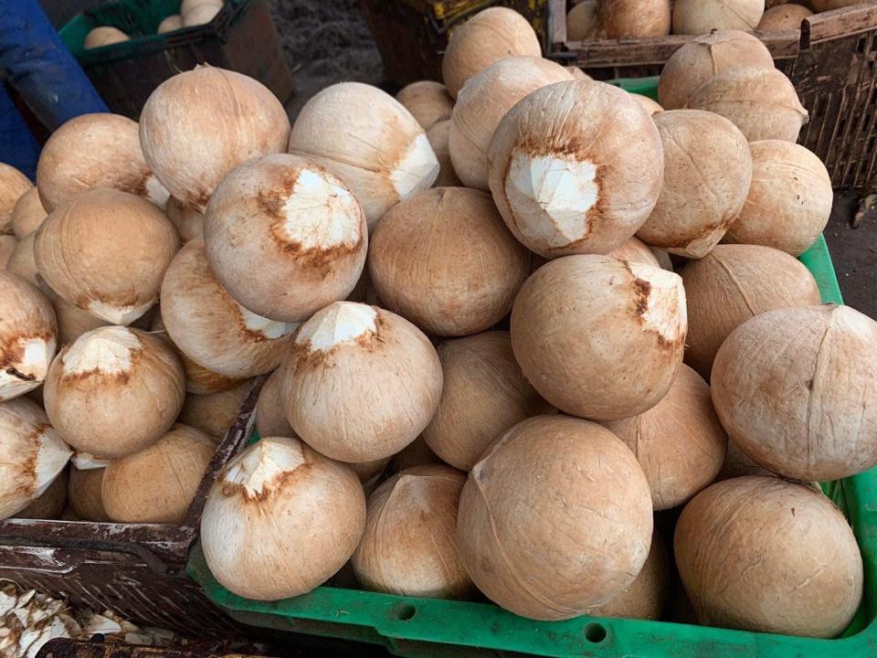 Dừa trọc-duoc-ban-tai-Bếp Mẹ Mỡ - Sỉ lẻ đồ ăn