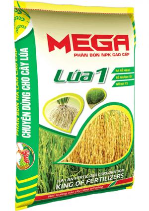 Mega lúa 1 - Hà Lan-duoc-ban-tai-Hường Dưỡng