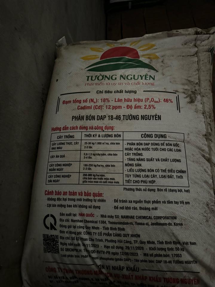 DAP KOREA - Tường Nguyên -duoc-ban-tai-Hường Dưỡng