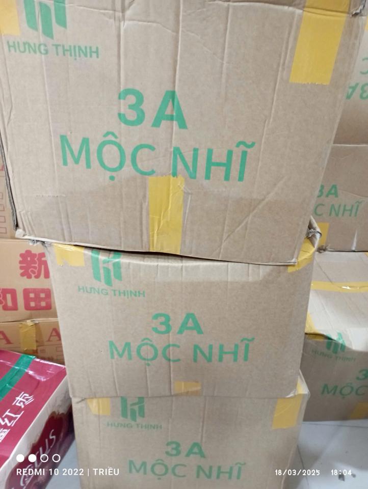 Mèo sợi -duoc-ban-tai-50/77