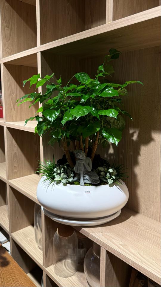 TC Hạnh phúc Ovan M-duoc-ban-tai-Zerõ Garden - Sống Xanh Sống An Lành