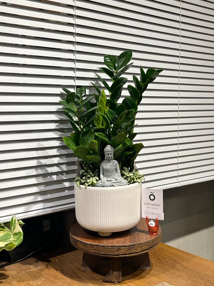 TC Kim tiền Trụ 3 chân-duoc-ban-tai-Zerõ Garden - Sống Xanh Sống An Lành