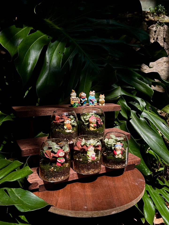 Terrarium S - 500ml -duoc-ban-tai-Zerõ Garden - Sống Xanh Sống An Lành