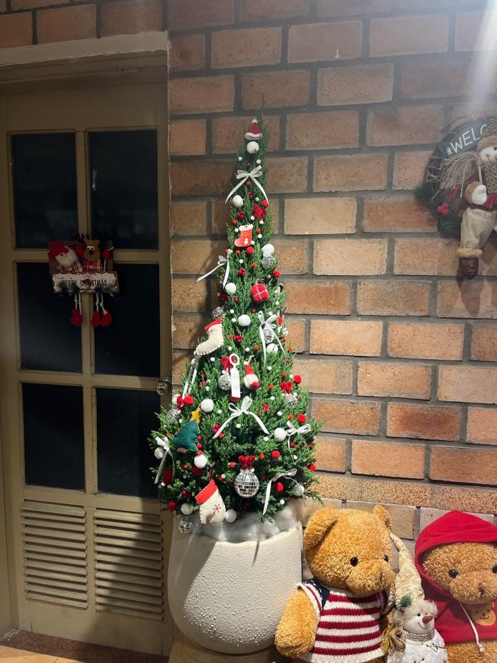 Sơn tùng - Premium - Atlantic 2XL-duoc-ban-tai-Zerõ Garden - Sống Xanh Sống An Lành