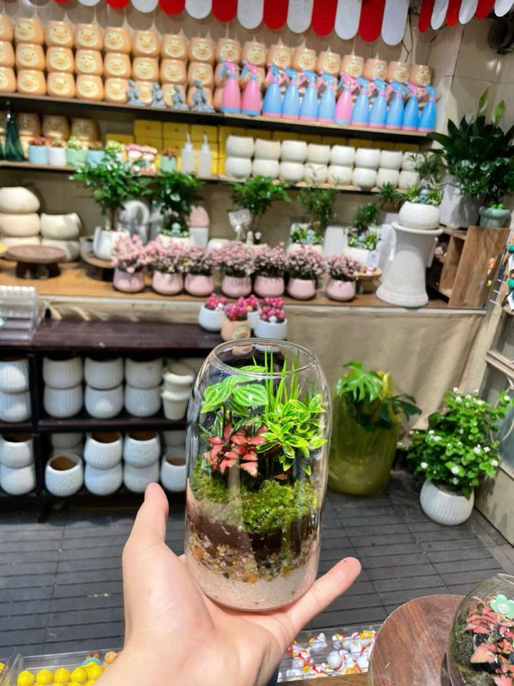 Terrarium 800ml-duoc-ban-tai-Zerõ Garden - Sống Xanh Sống An Lành
