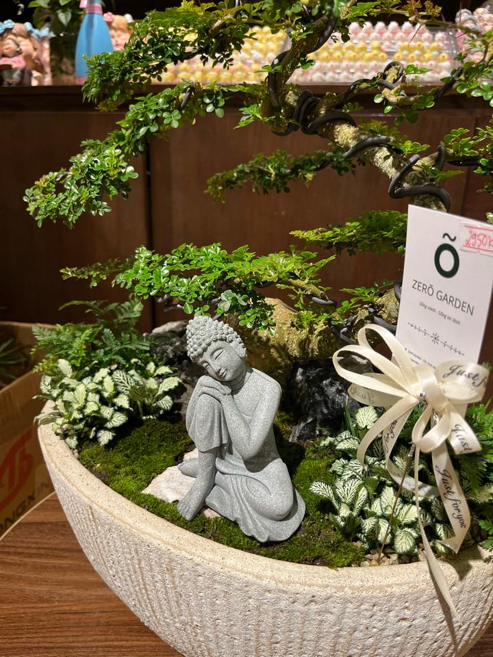 Cần thăng thuận buồm xuôi gió-duoc-ban-tai-Zerõ Garden - Sống Xanh Sống An Lành