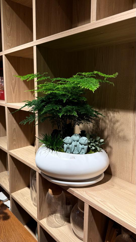 TC Thuỷ tùng Ovan M-duoc-ban-tai-Zerõ Garden - Sống Xanh Sống An Lành