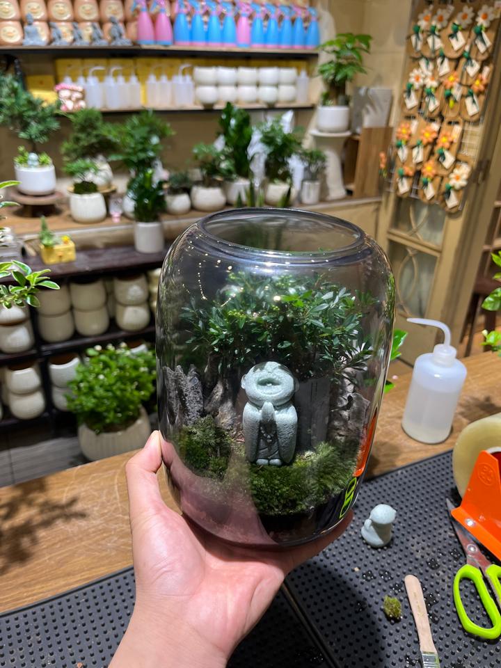 Terrarium Tiểu diệp xích nam Bình cầu-duoc-ban-tai-Zerõ Garden - Sống Xanh Sống An Lành