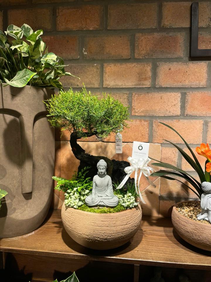 Tùng kim sa Gốm đất nung-duoc-ban-tai-Zerõ Garden - Sống Xanh Sống An Lành