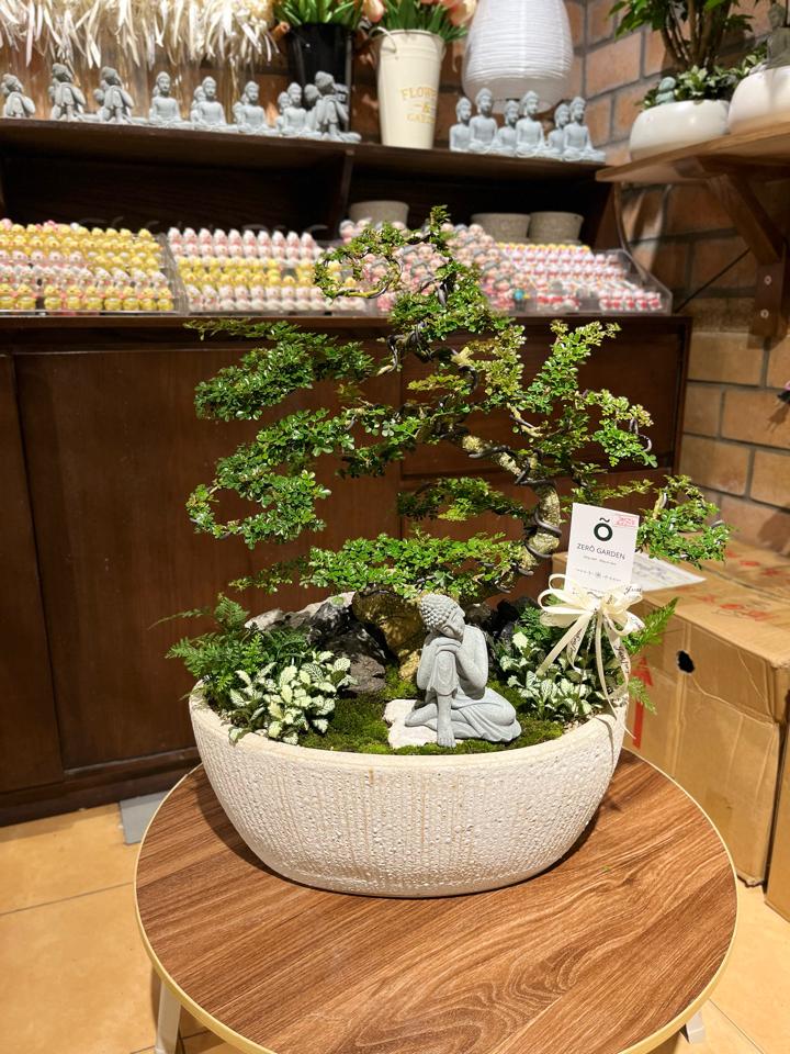 Cần thăng thuận buồm xuôi gió-duoc-ban-tai-Zerõ Garden - Sống Xanh Sống An Lành
