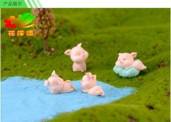 Heo mini-duoc-ban-tai-Zerõ Garden - Sống Xanh Sống An Lành