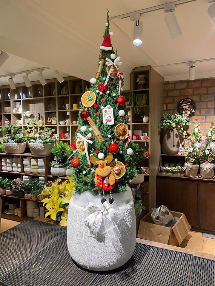 Sơn tùng L - Full decor - Atlantic -duoc-ban-tai-Zerõ Garden - Sống Xanh Sống An Lành