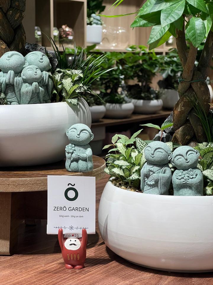 TC Kim ngân xoắn Mochi size L-duoc-ban-tai-Zerõ Garden - Sống Xanh Sống An Lành