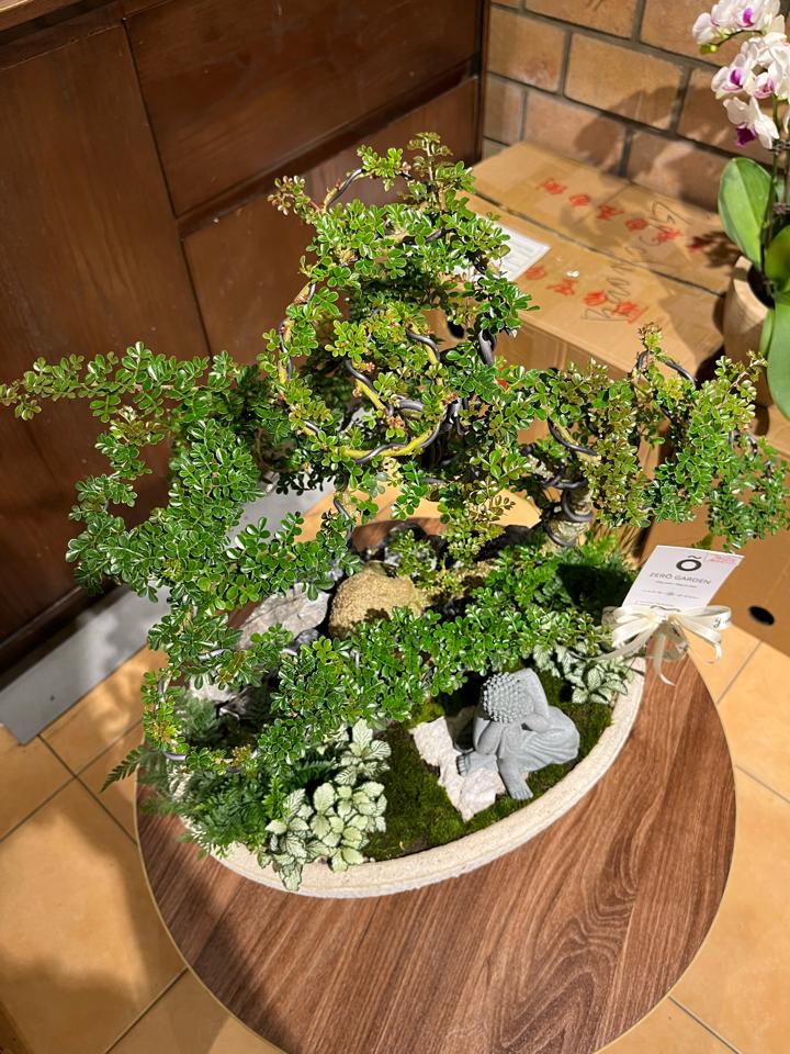 Cần thăng thuận buồm xuôi gió-duoc-ban-tai-Zerõ Garden - Sống Xanh Sống An Lành