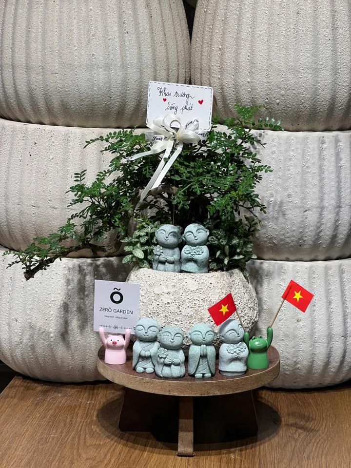 TC Cần thăng Atlantic hạt dẻ M 11cm (Dáng thác đổ)-duoc-ban-tai-Zerõ Garden - Sống Xanh Sống An Lành