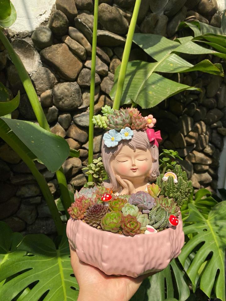Sen đá Cô gái-duoc-ban-tai-Zerõ Garden - Sống Xanh Sống An Lành