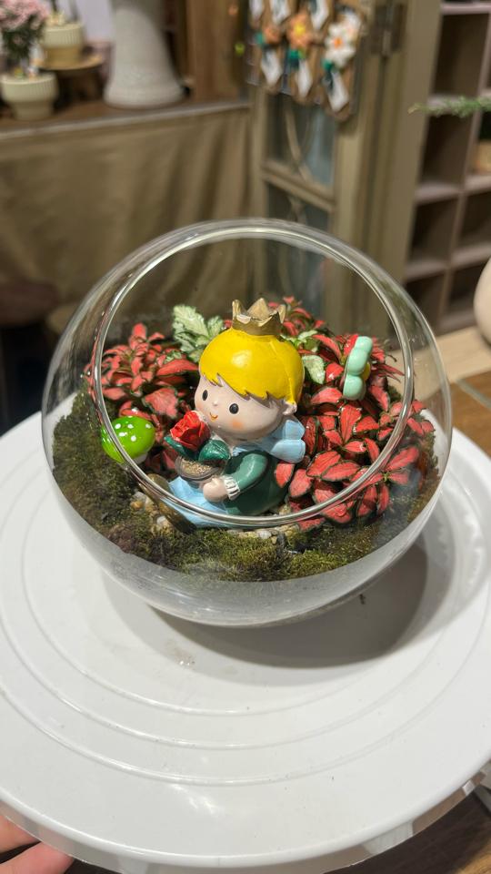 Terrarium Cẩm nhung tròn 15cm-duoc-ban-tai-Zerõ Garden - Sống Xanh Sống An Lành