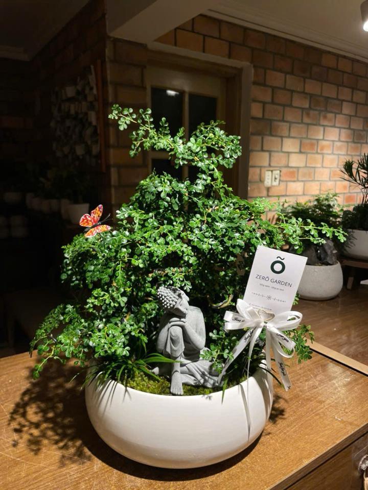 TC Cần thăng bonsai Mochi L-duoc-ban-tai-Zerõ Garden - Sống Xanh Sống An Lành