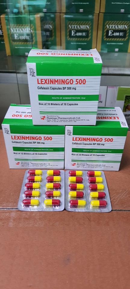 Lexinmingo ( cephalexyl  500/100v) 9/25-duoc-ban-tai-💊 Đóng Toa  (Ship cod toàn quốc) 💊