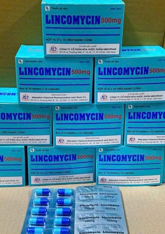 Lincomycin 500mg-duoc-ban-tai-💊 Đóng Toa  (Ship cod toàn quốc) 💊
