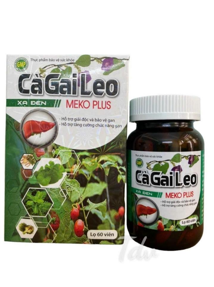 .Cà gai leo plus -duoc-ban-tai-💊 Đóng Toa  (Ship cod toàn quốc) 💊