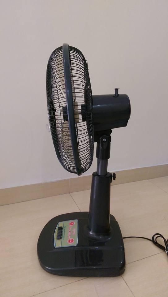 Quạt Rút Lửng Hoa Phượng sải cánh 40cm-duoc-ban-tai-VINHTÂM MEDIA MART