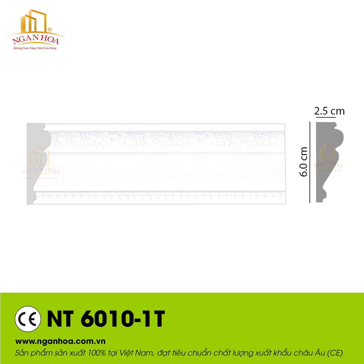 NT6010T-duoc-ban-tai-Kiến Văn Cần Thơ