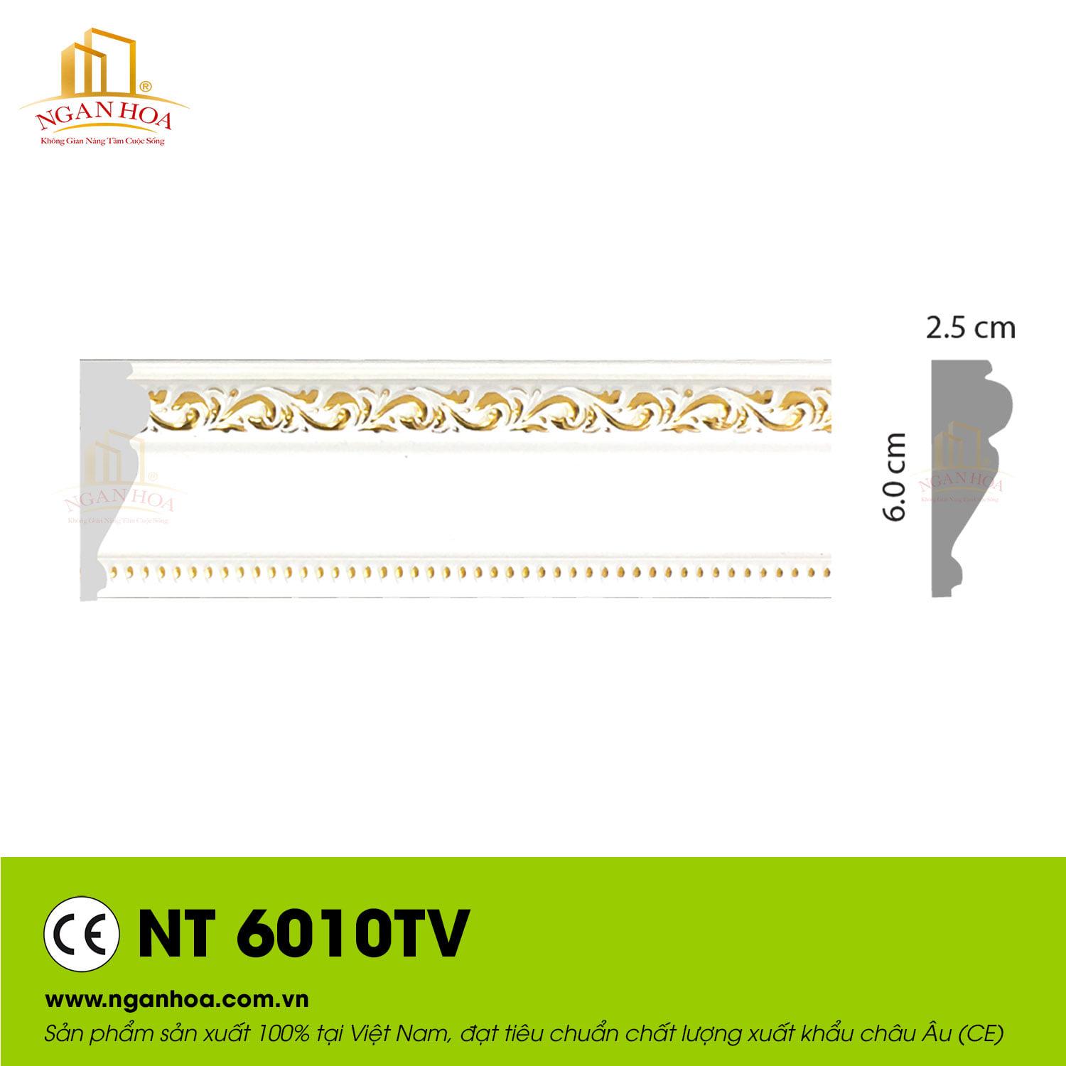 NT6010TV-duoc-ban-tai-Kiến Văn Cần Thơ