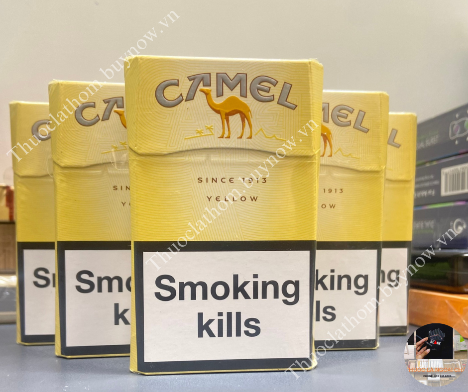 Thuốc Lá Lạc Đà Đầu Lọc (Camel Filter)-duoc-ban-tai-Thuốc Lá Thơm -  Xì Gà Saigon