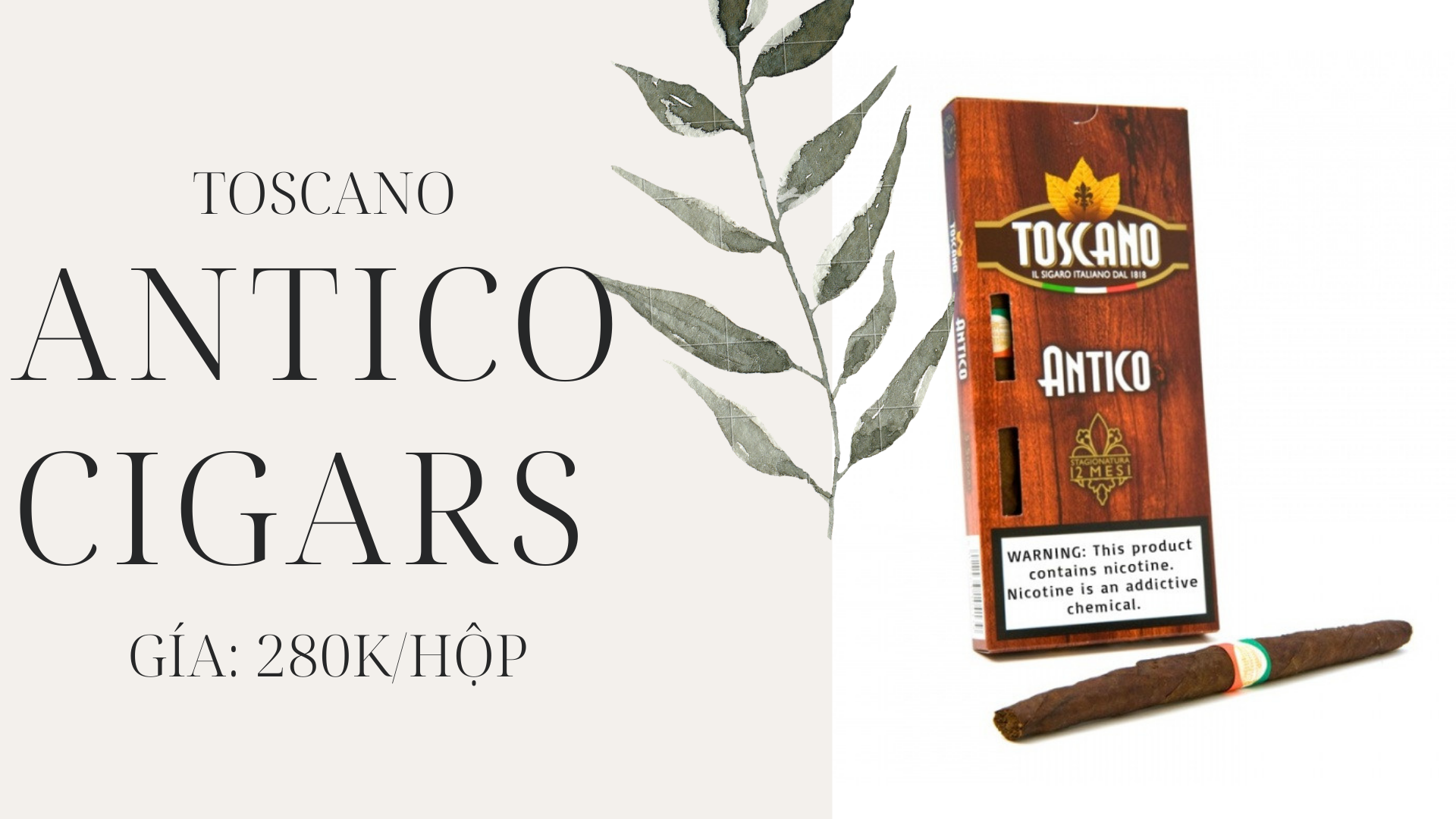 Xì Gà Italia Toscano Antico ( Xì Gà Ý Dài)-duoc-ban-tai-Thuốc Lá Thơm -  Xì Gà Saigon