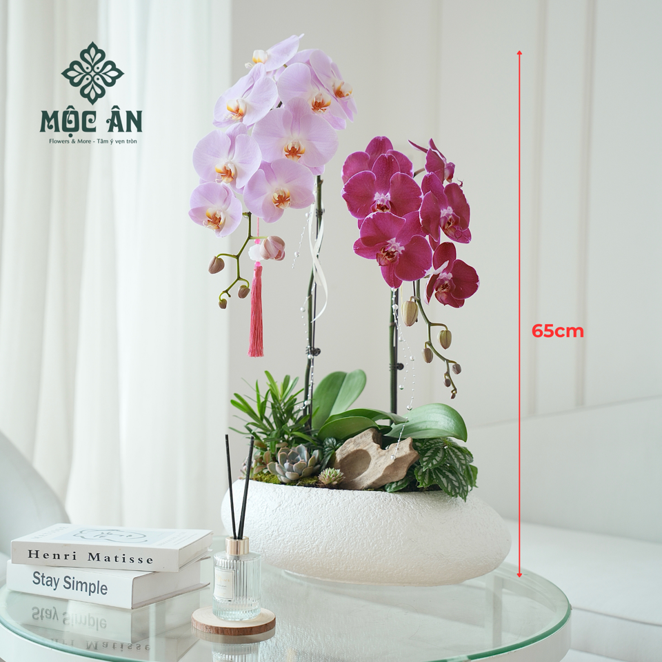 Chậu Lan Tím Hồng Vỏ Trai Mix Tiểu Cảnh-duoc-ban-tai-HOA LỄ MỘC ÂN