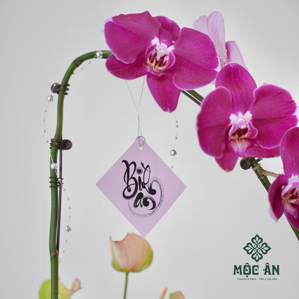 Chậu Lan Hồ Điệp Tím Men Xanh Mix Tiểu Cảnh-duoc-ban-tai-HOA LỄ MỘC ÂN